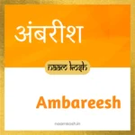 Ambareesh baby name