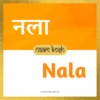 Nala baby name